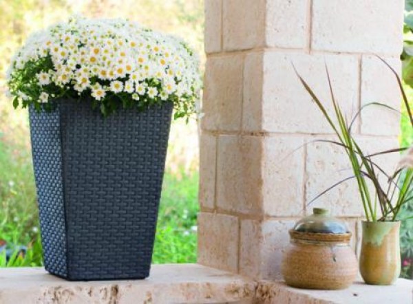 Rattan planter S
