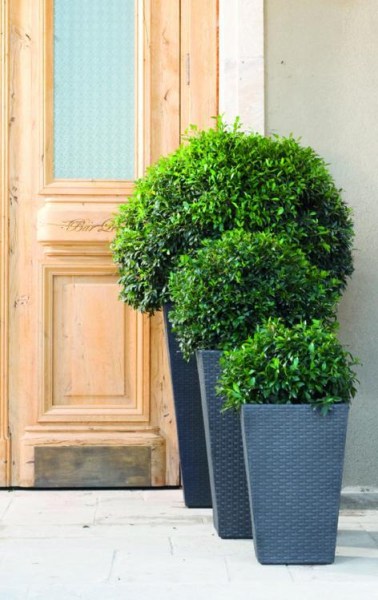 Rattan planter S