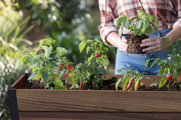 květináč DECO ELEVATED GARDEN BED - Walnut