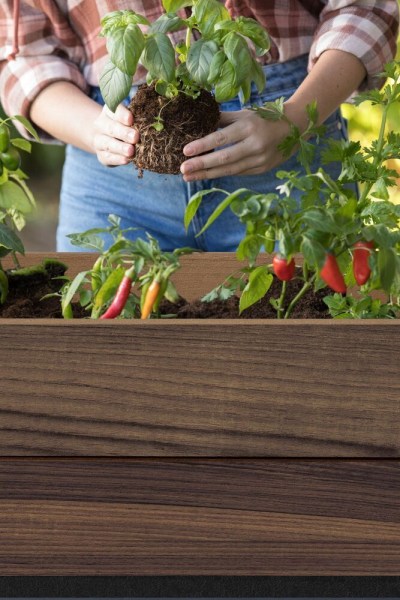 květináč DECO ELEVATED GARDEN BED - Walnut