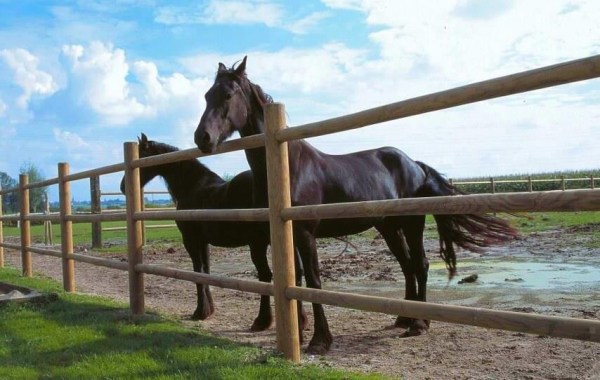 Bazénové LED světlo HANSCRAFT LED18 PROFI