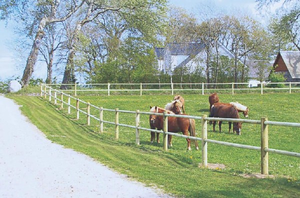 Bazénové LED světlo HANSCRAFT LED18 PROFI