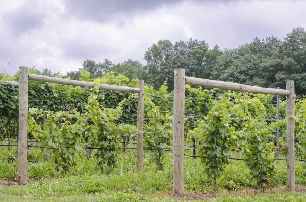 Bazénové LED světlo HANSCRAFT LED18 PROFI